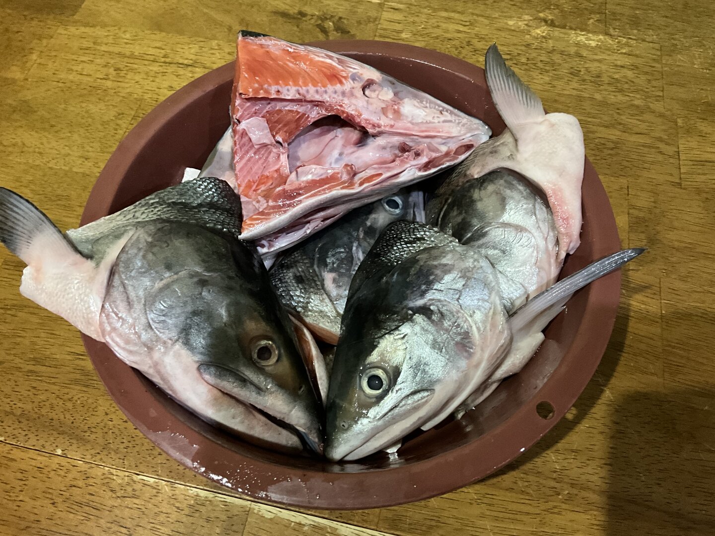 IMG_0161.jpeg