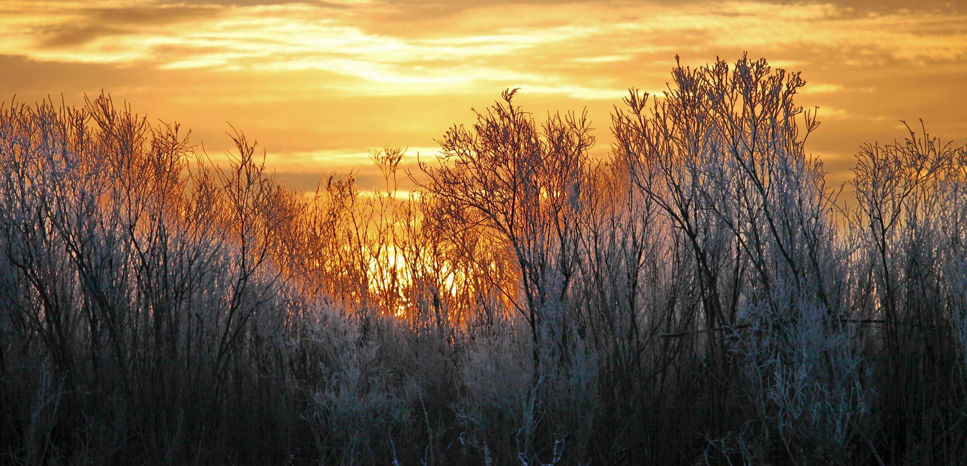 IMG_0239 - копия2 - копия.jpg