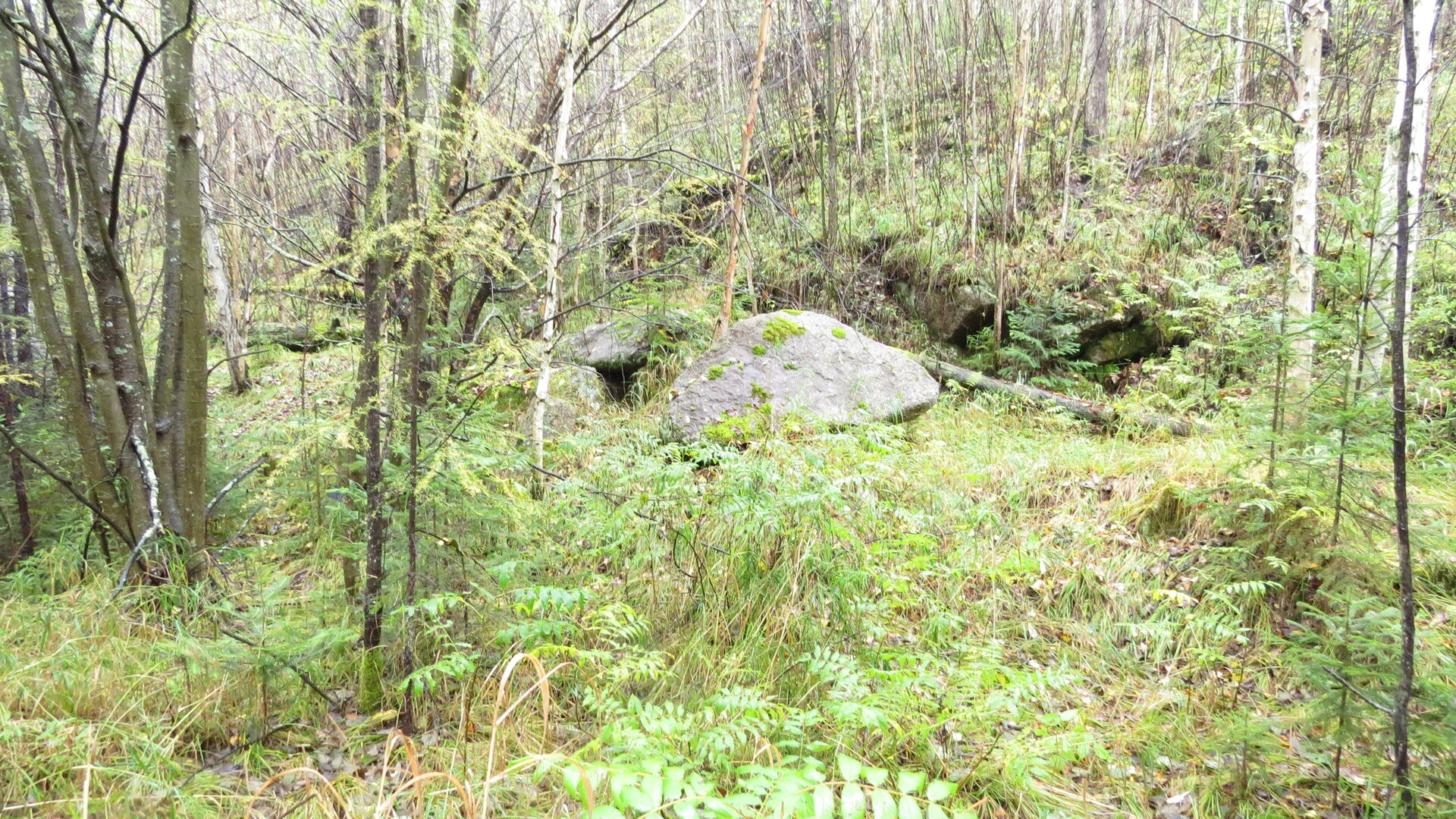 IMG_0370.JPG
