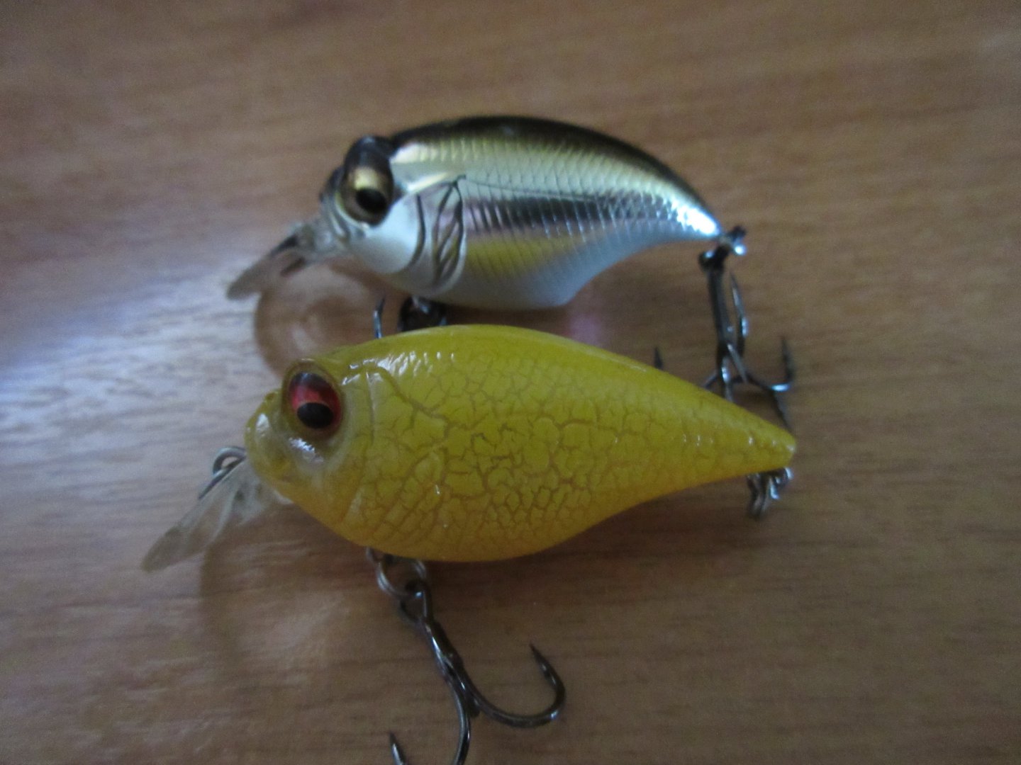 IMG_0437.JPG