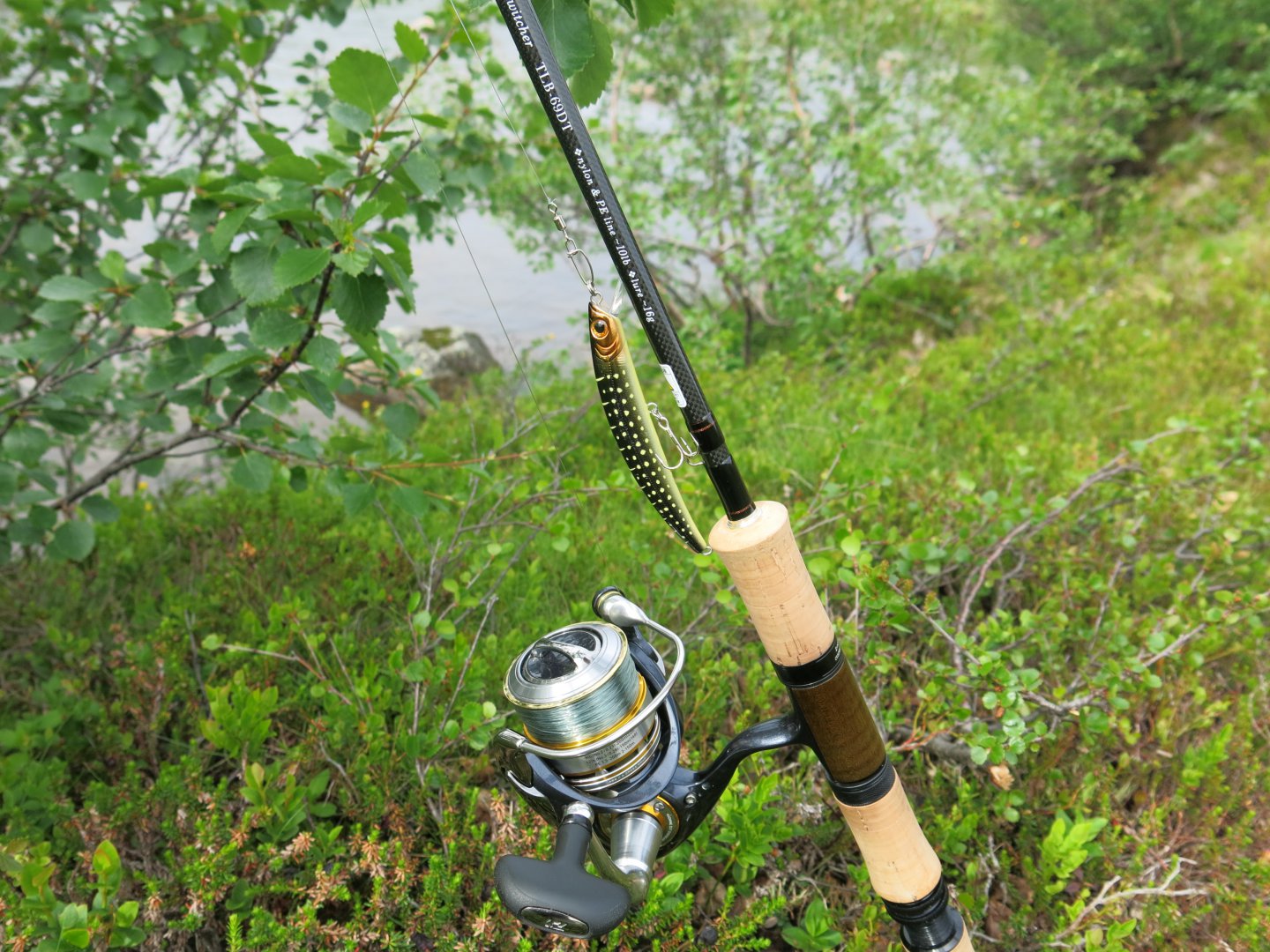 IMG_0451.JPG