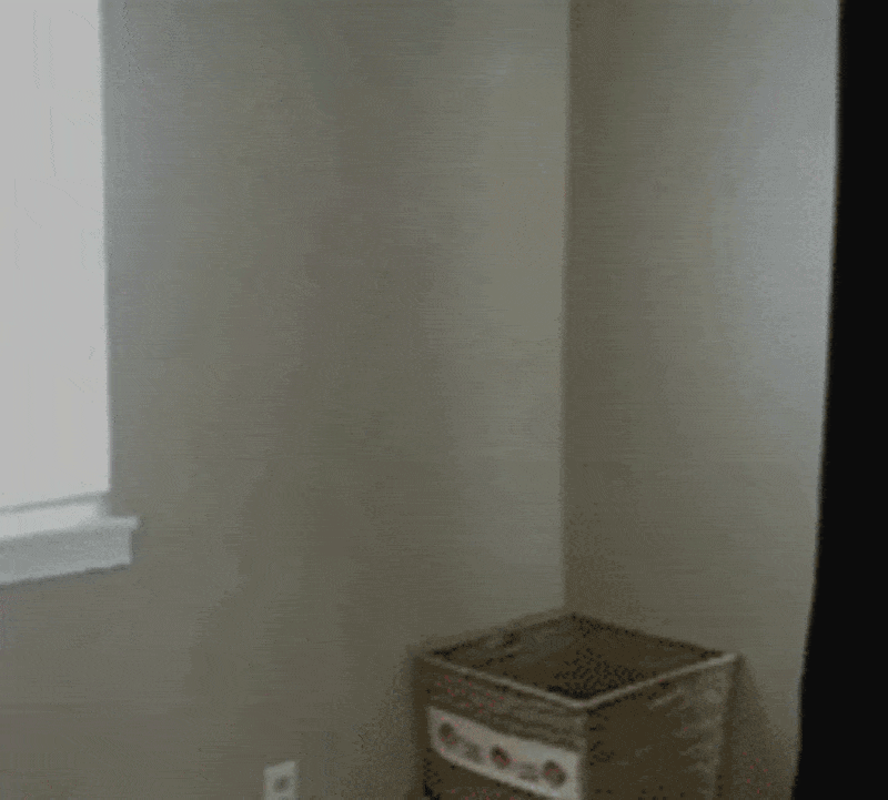 IMG_0459.GIF