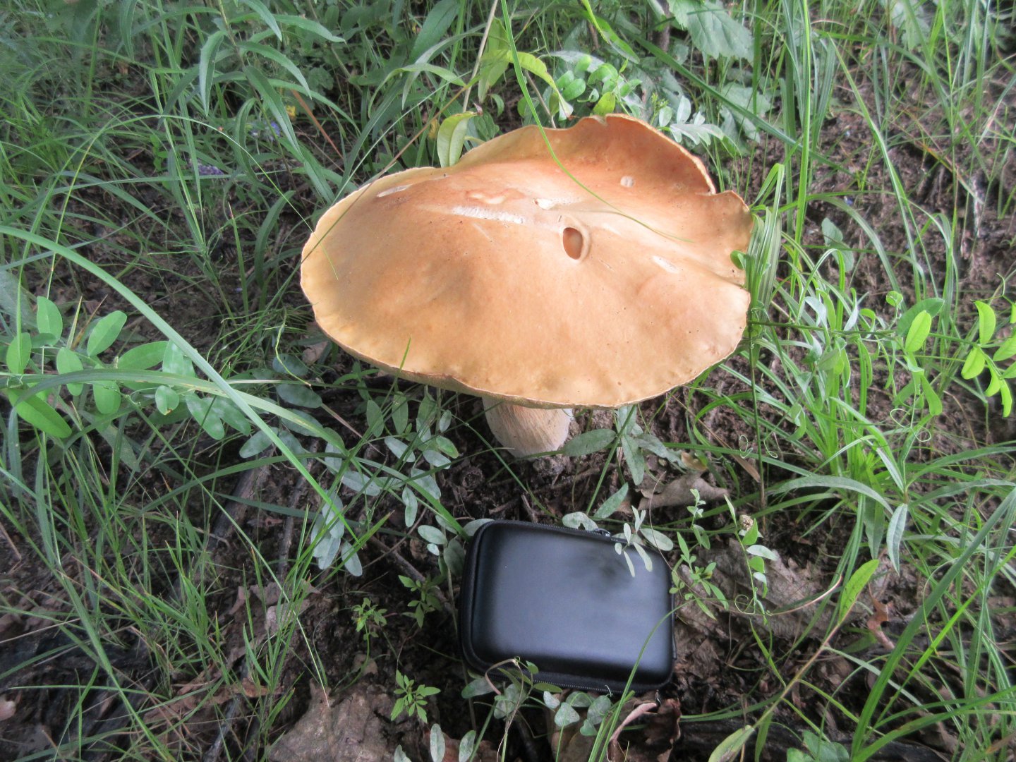 IMG_0477.JPG