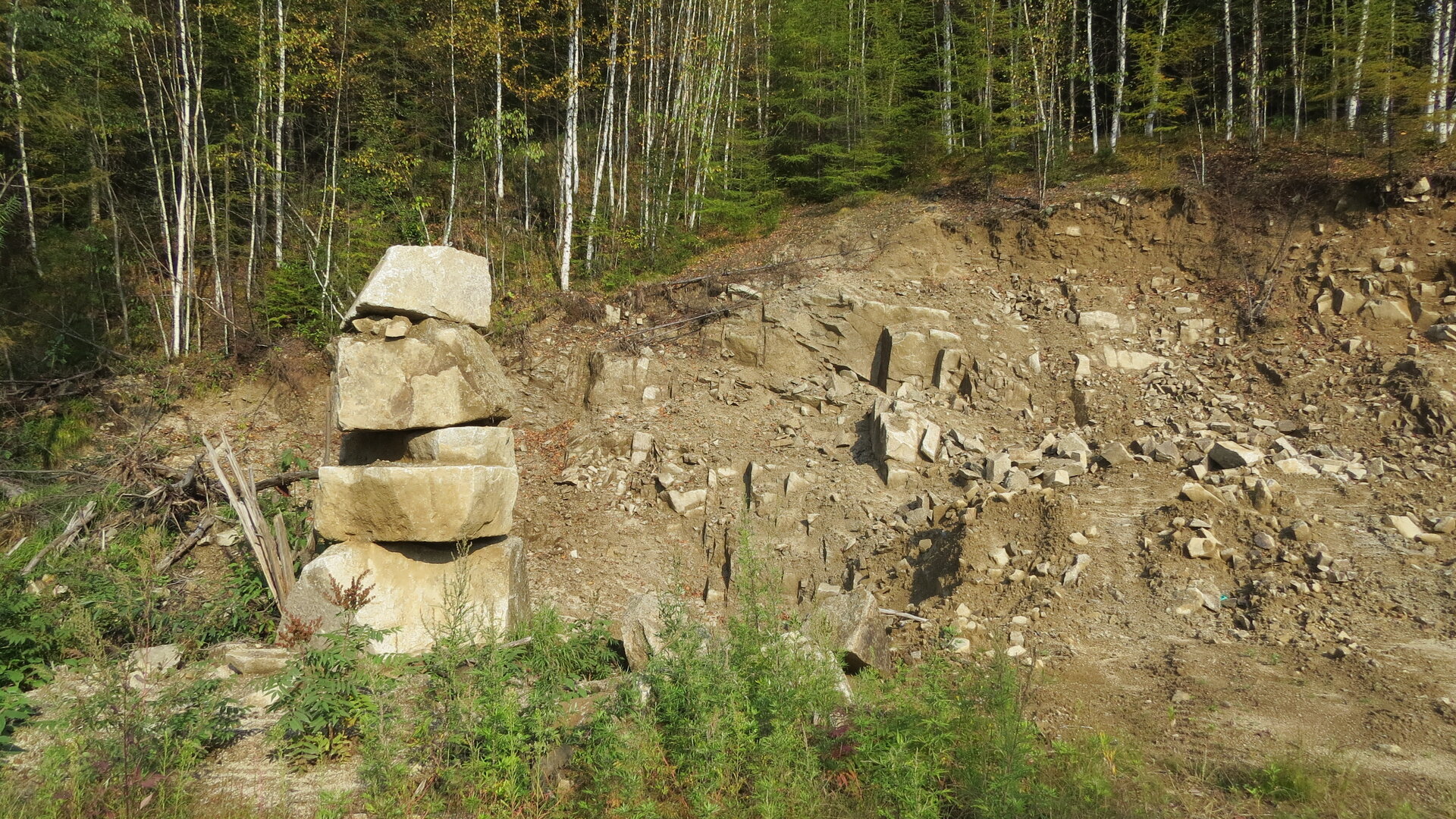 IMG_0482.JPG