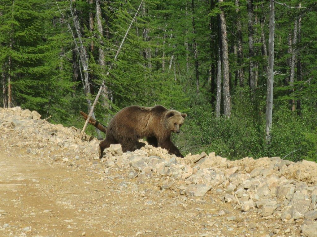 IMG_0541.jpg