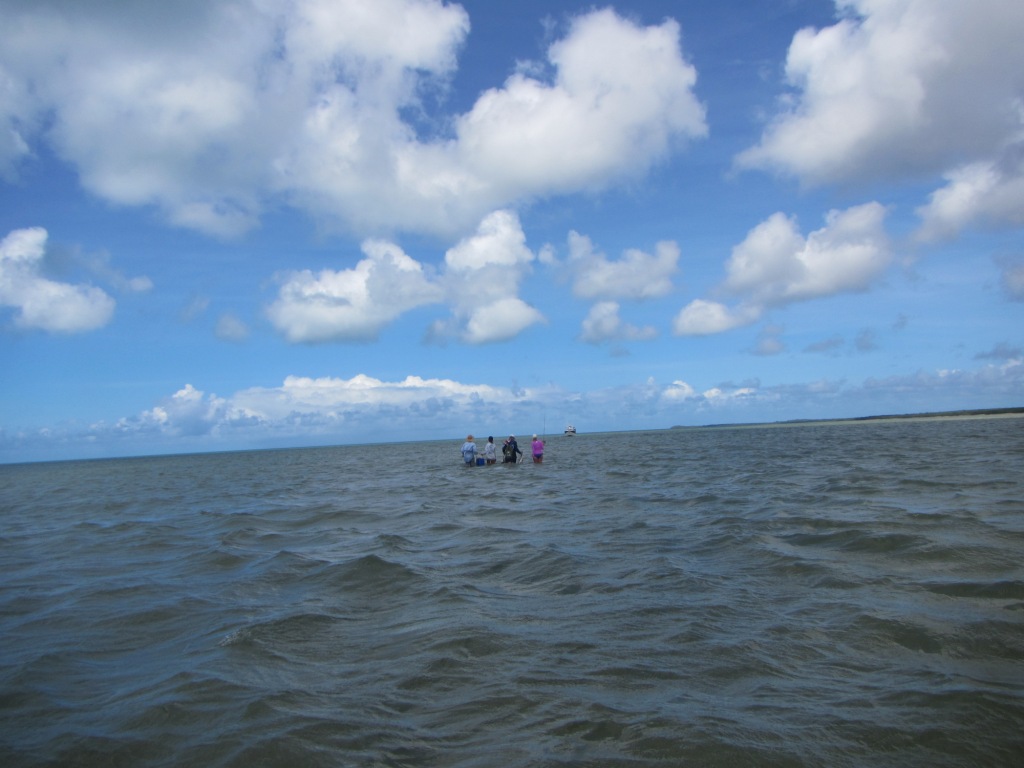 IMG_0807.JPG