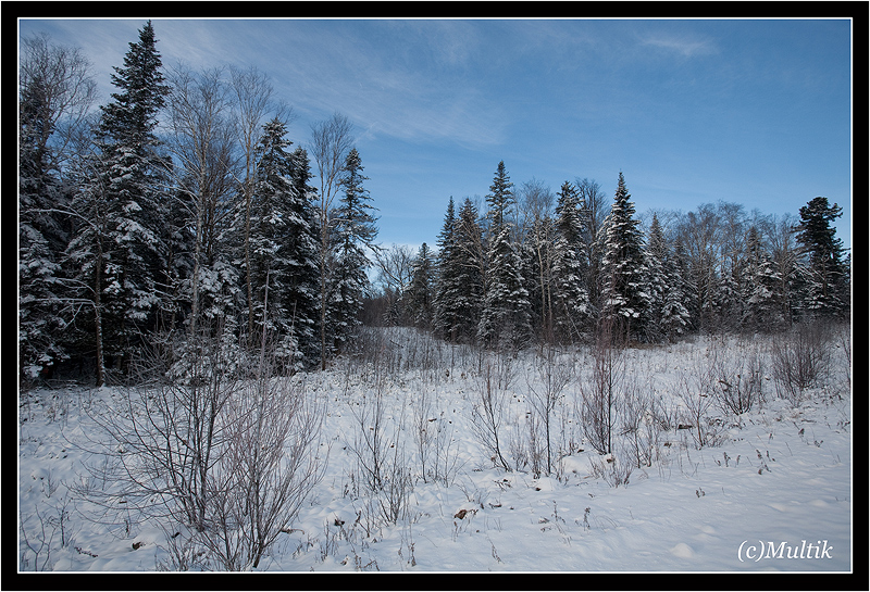 IMG_0836_1.jpg