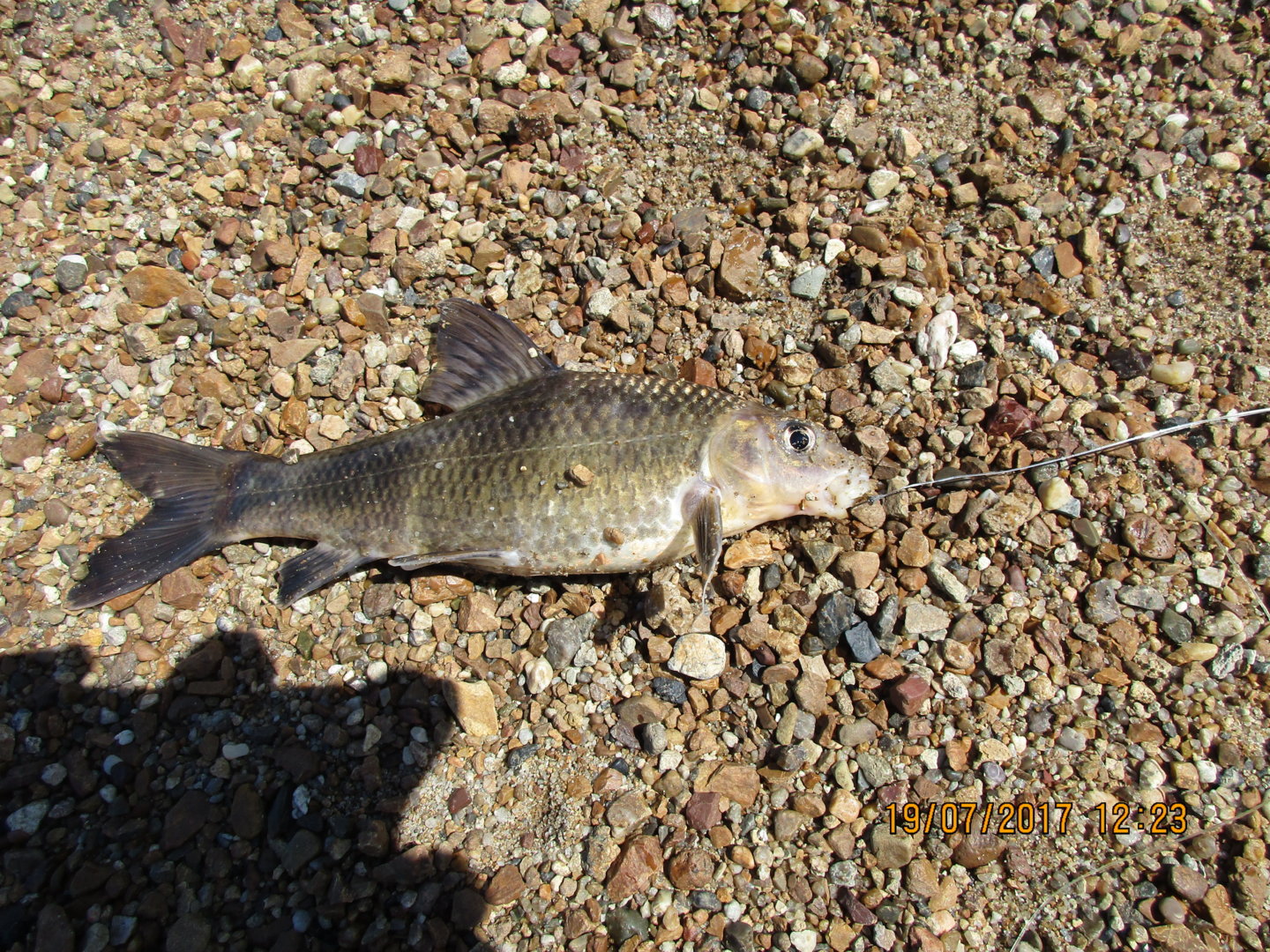 IMG_0859.jpg