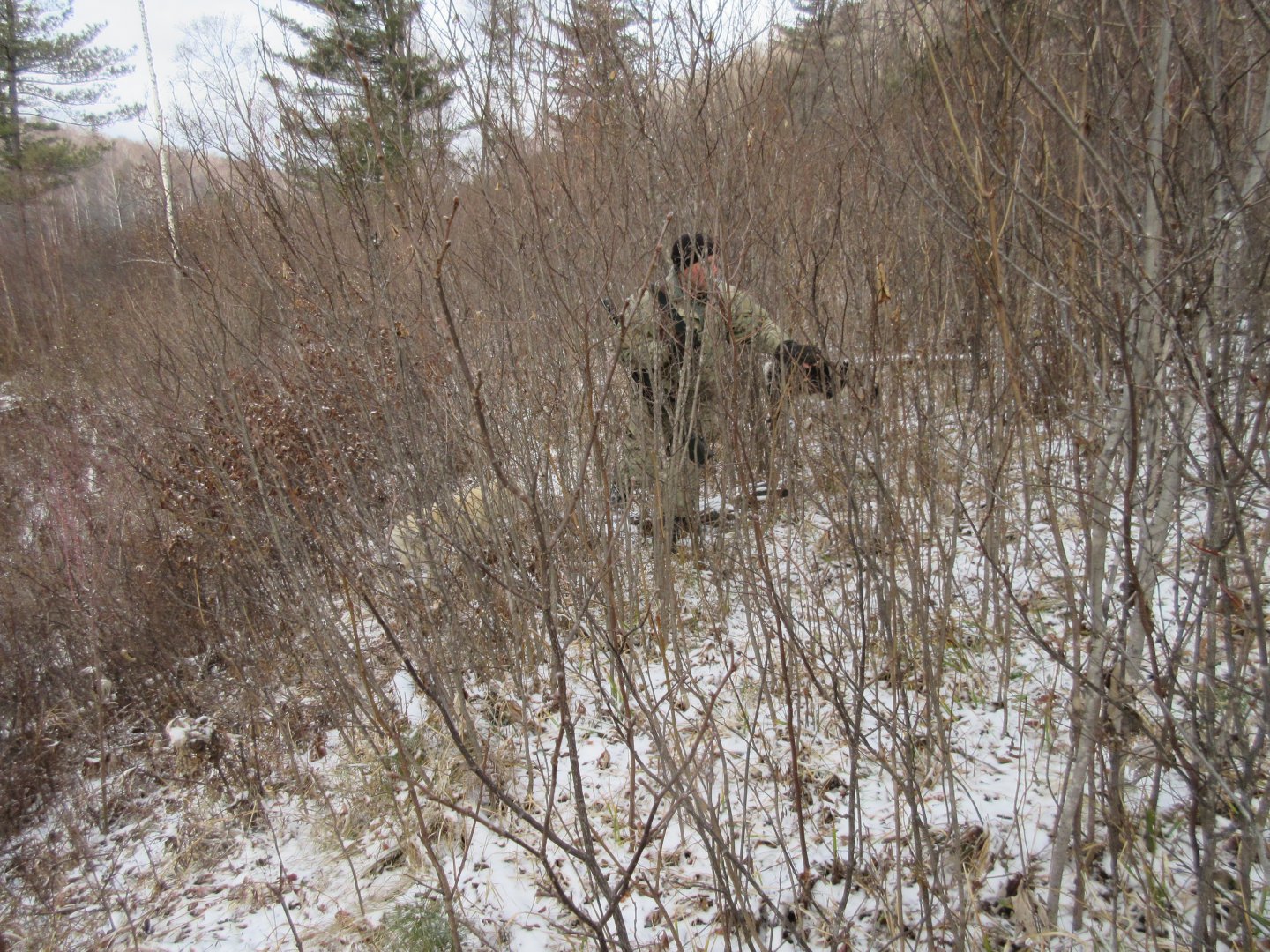 IMG_0873.JPG