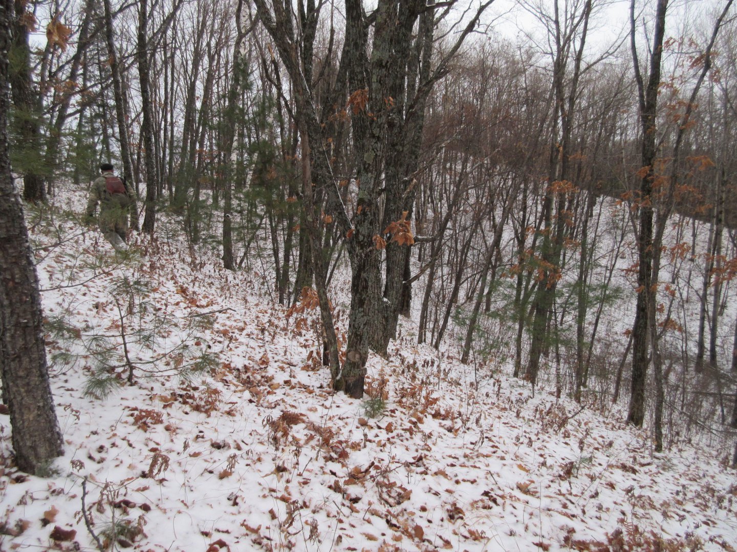 IMG_0893.JPG