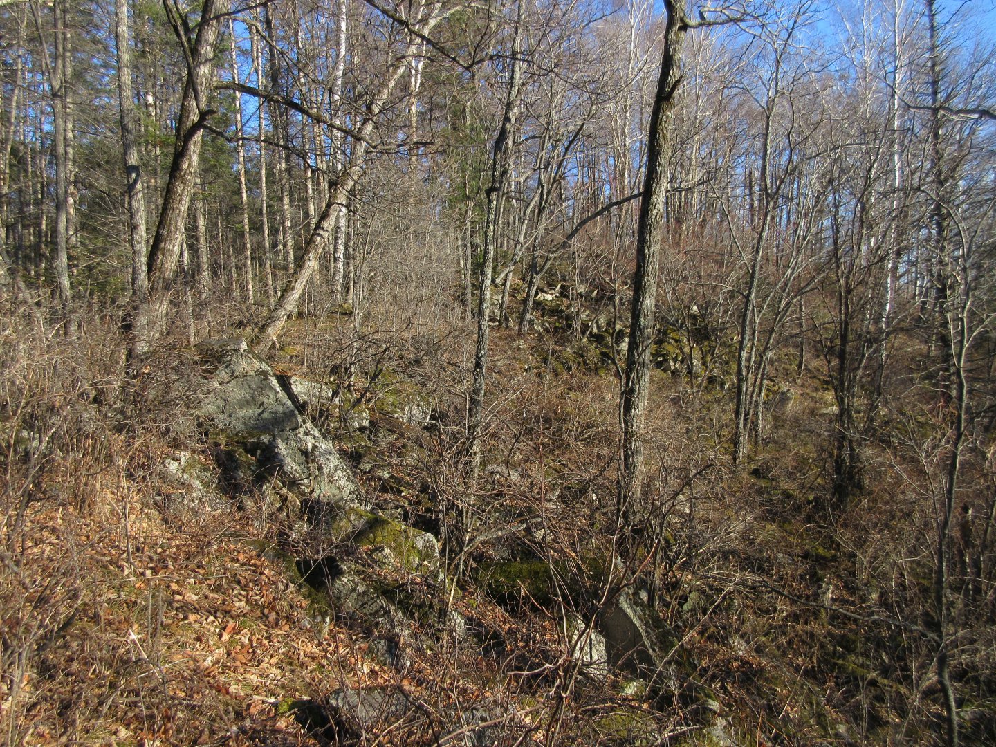 IMG_0964.JPG