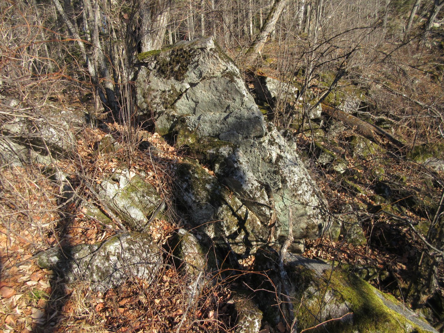 IMG_0967.JPG