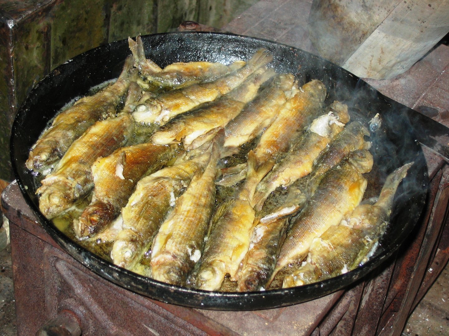 IMG_1098.jpg