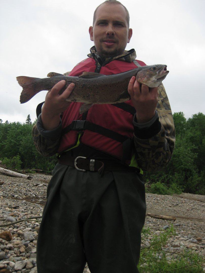 IMG_1157.JPG