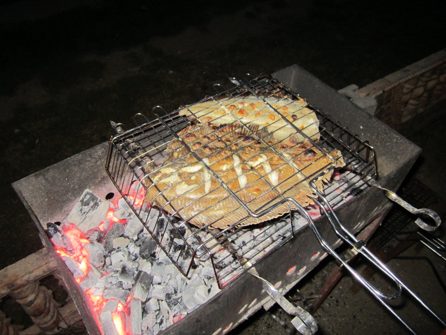 IMG_1344.JPG