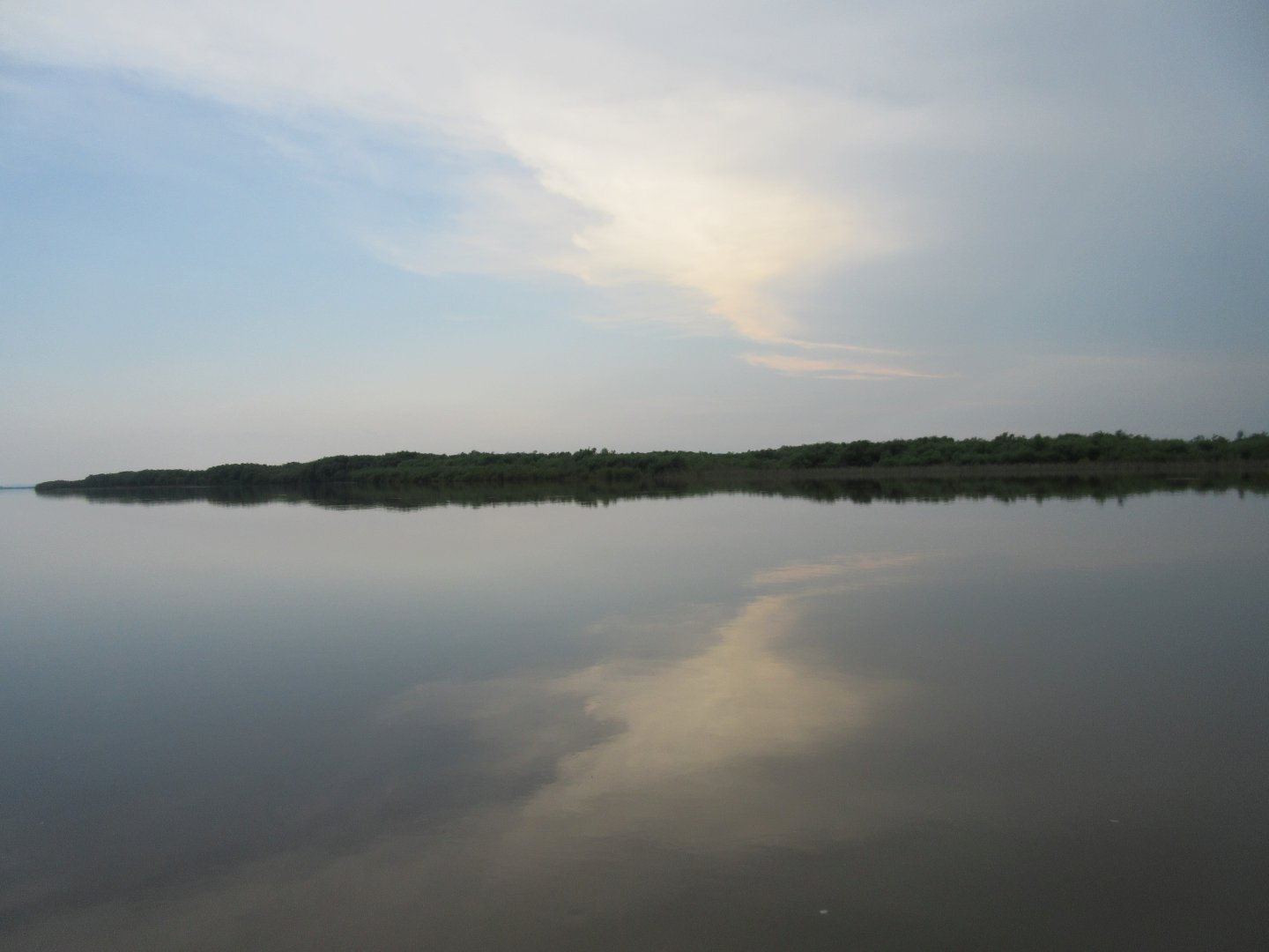 IMG_1387.JPG
