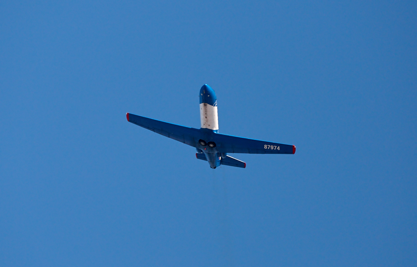 IMG_1684.jpg