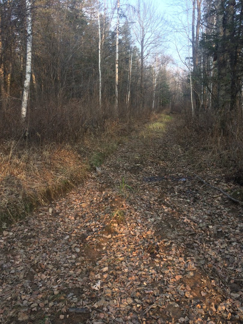 IMG_1744.JPG