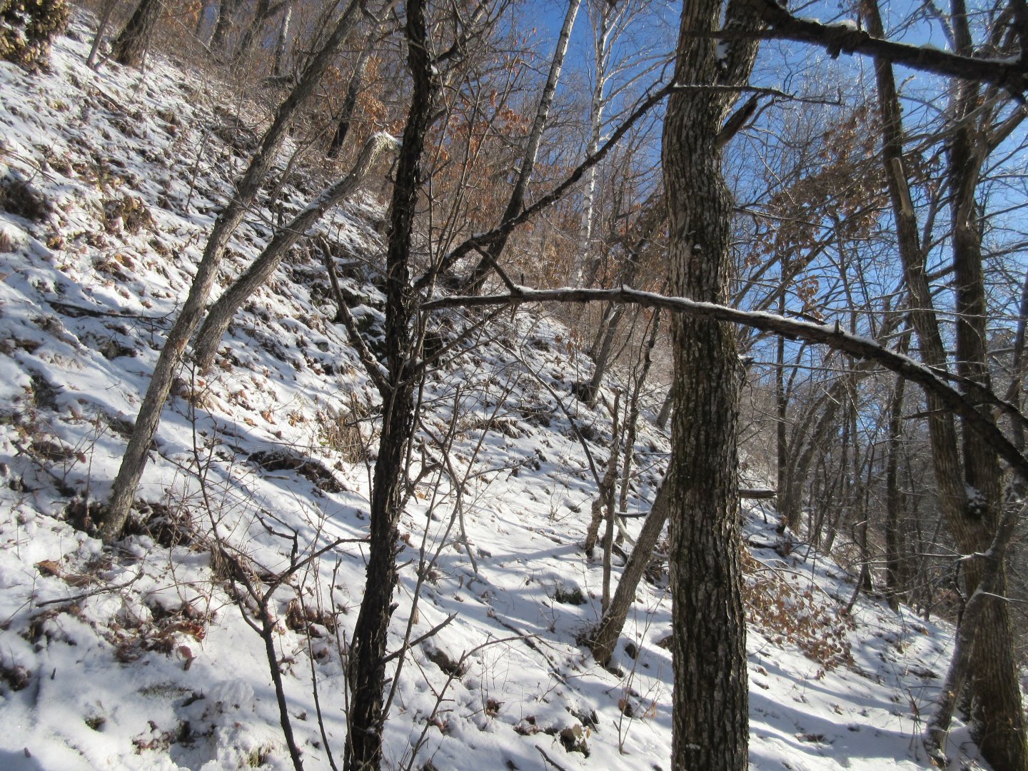 IMG_1842.JPG