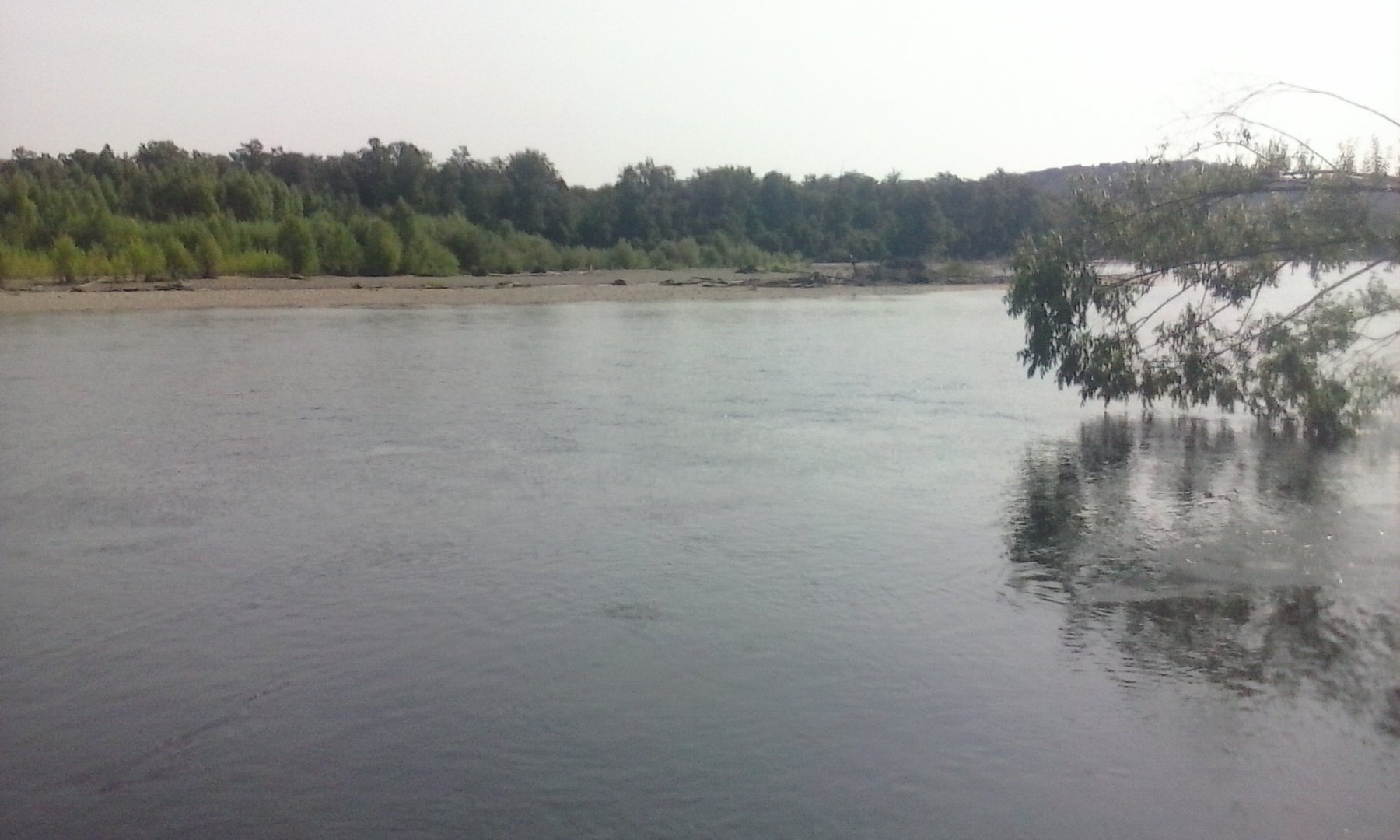 IMG_20140629_111905.jpg