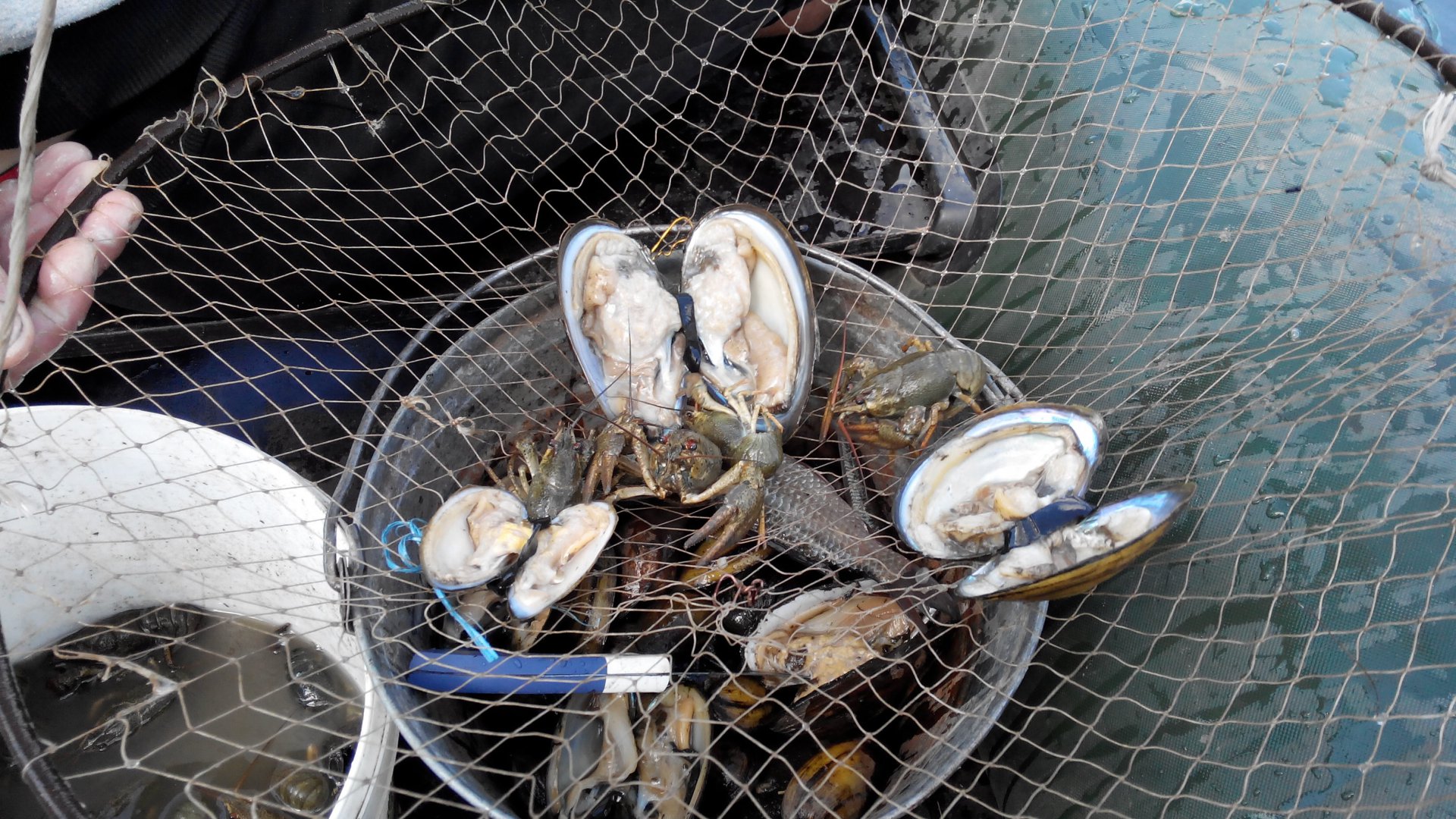 IMG_20140819_125043.jpg