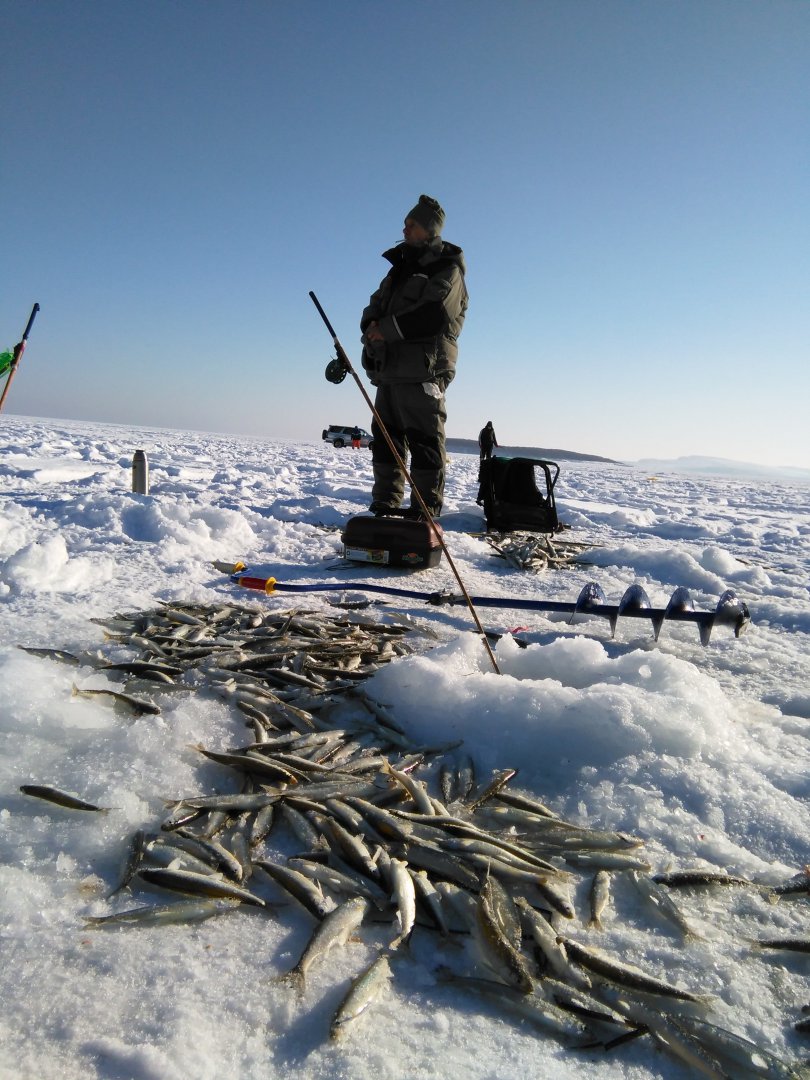 IMG_20150124_140343.jpg