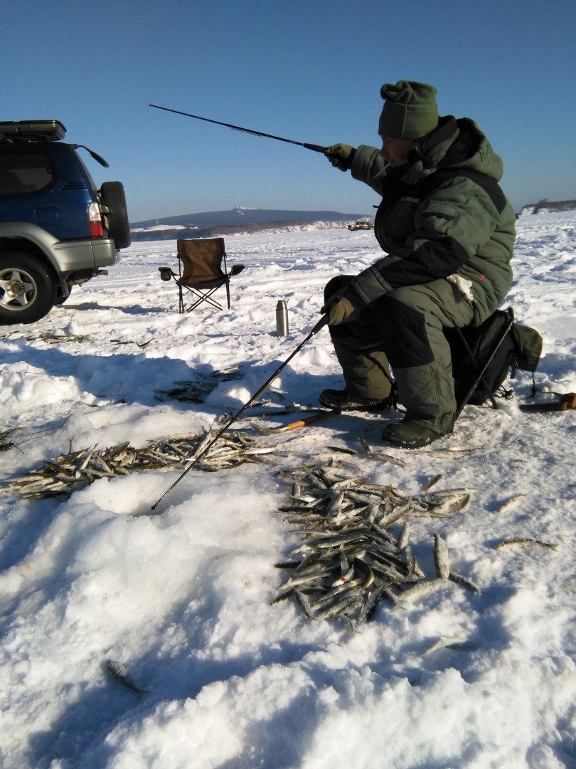 IMG_20150124_140457.jpg