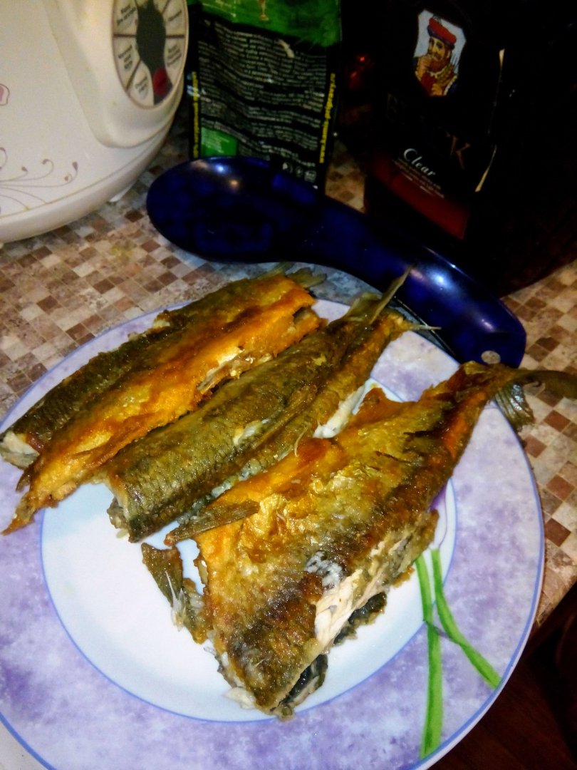 IMG_20150418_213002.jpg