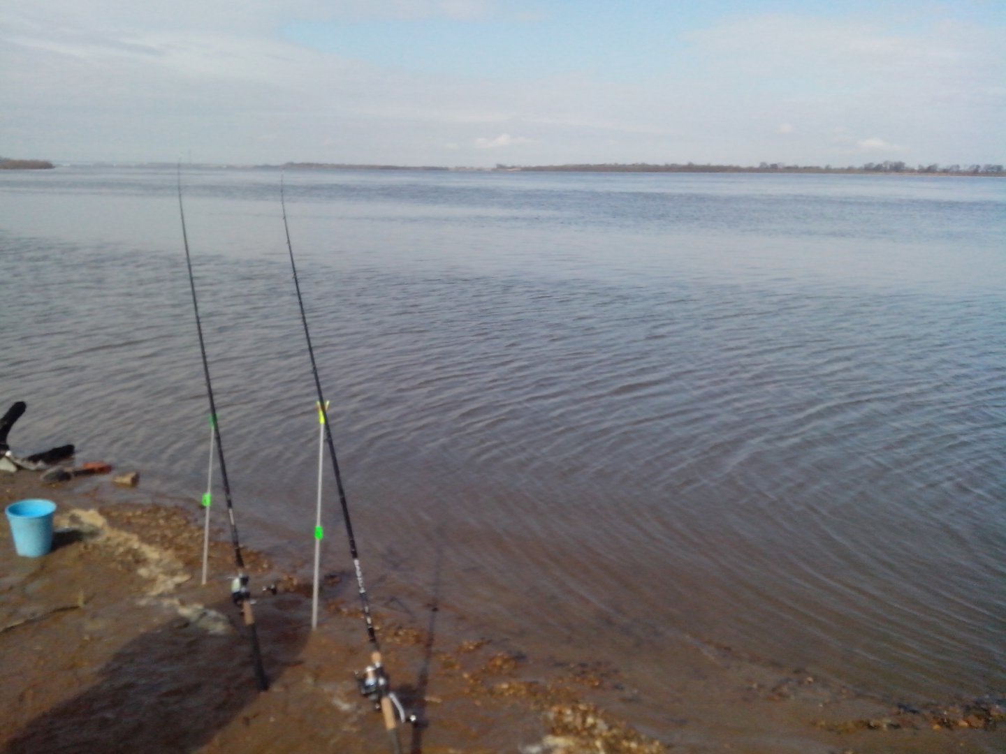 IMG_20150419_095022.jpg