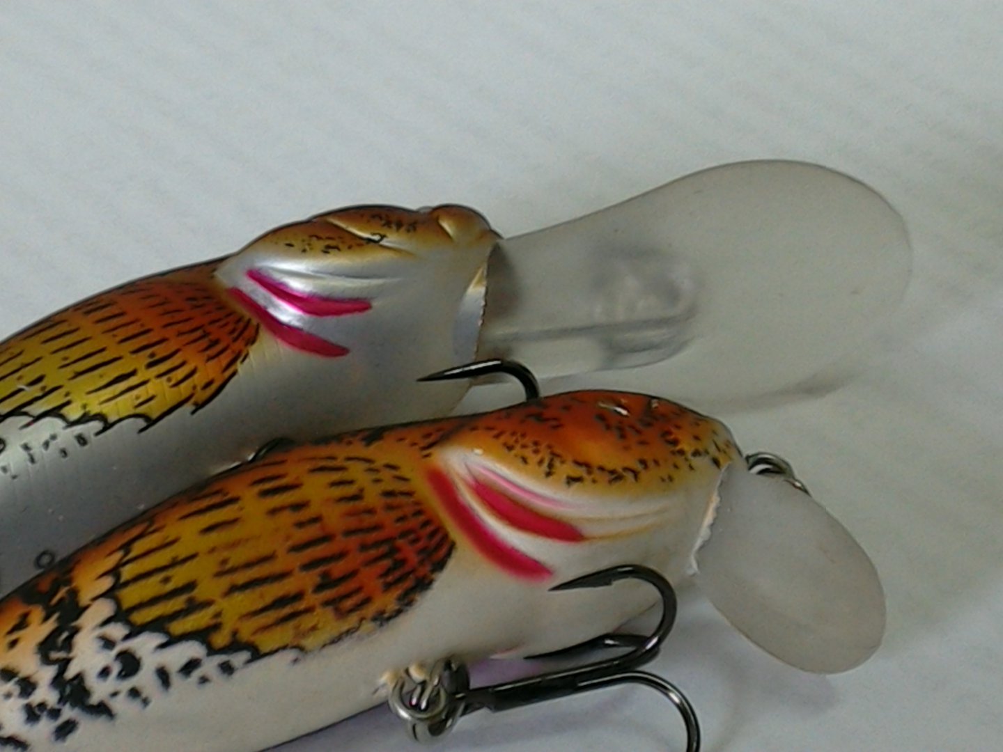 IMG_20150425_104607.jpg