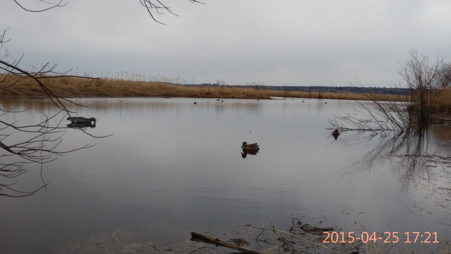 IMG_20150425_172119.jpg