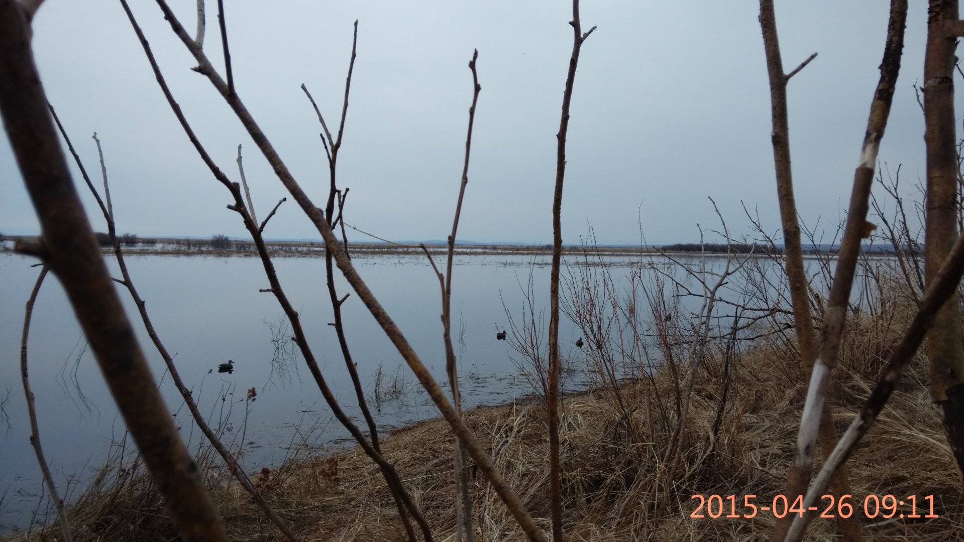IMG_20150426_091144.jpg