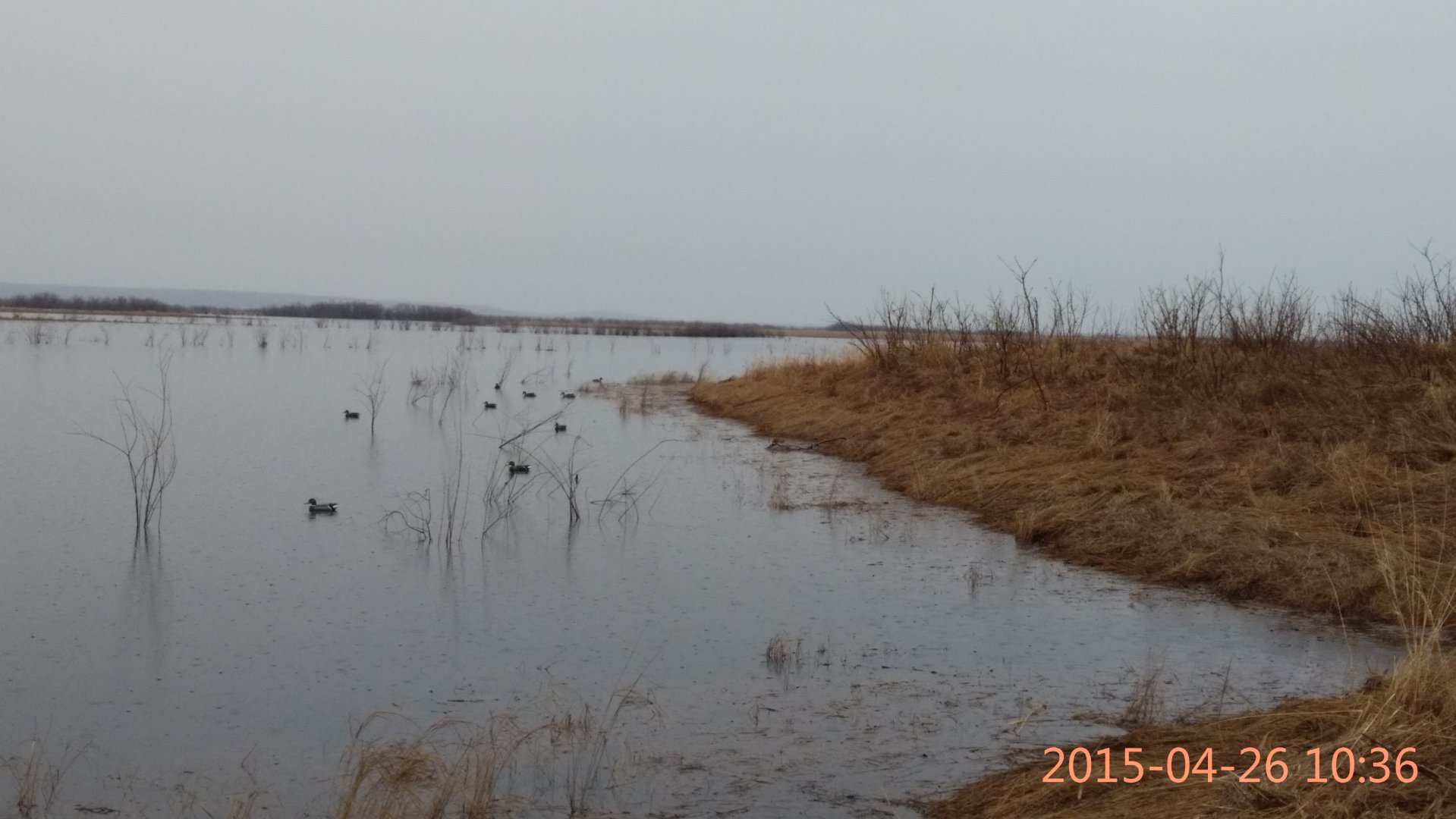 IMG_20150426_103606.jpg