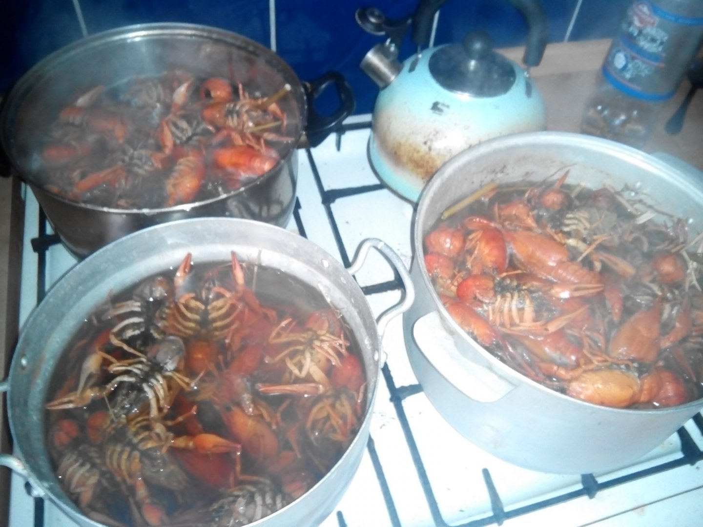 IMG_20150612_143140.jpg