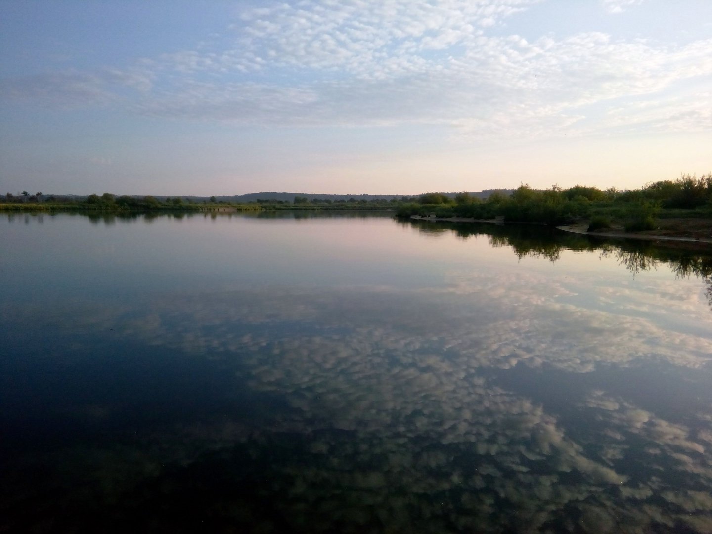 IMG_20150613_050845.jpg