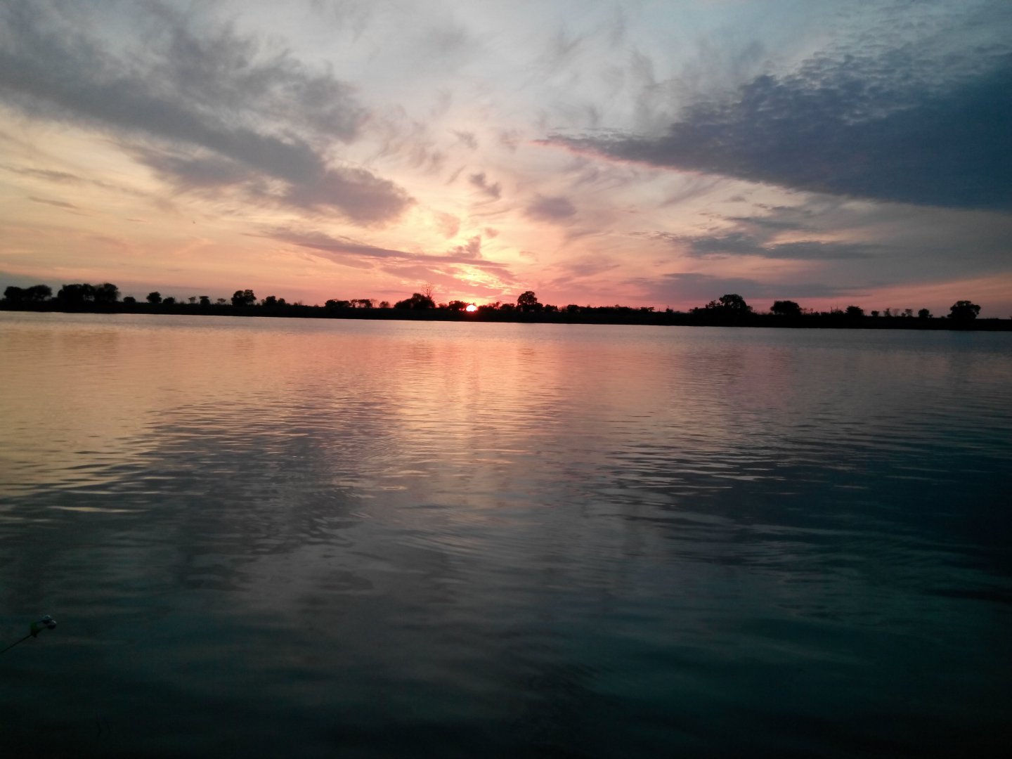 IMG_20150622_205803.jpg