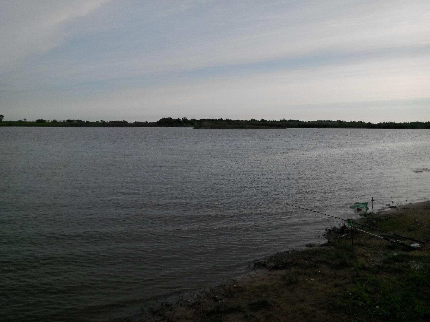 IMG_20150623_063007.jpg
