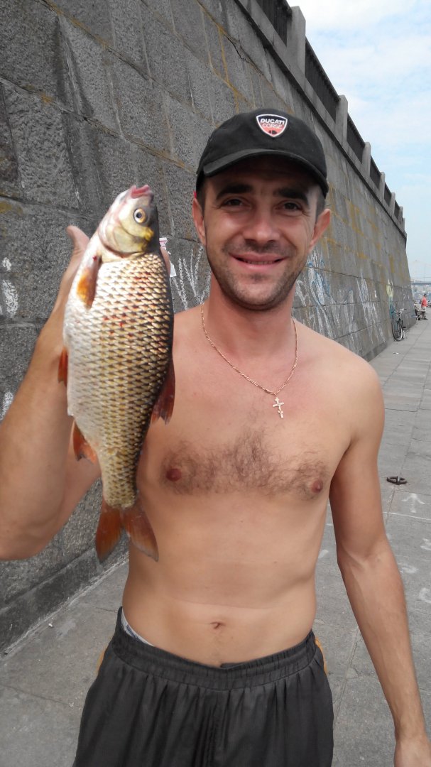 IMG_20150829_105914.jpg