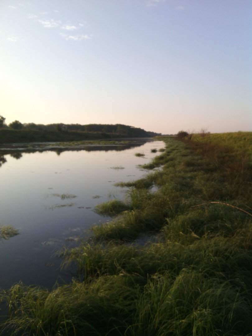 IMG_20150906_072556.jpg