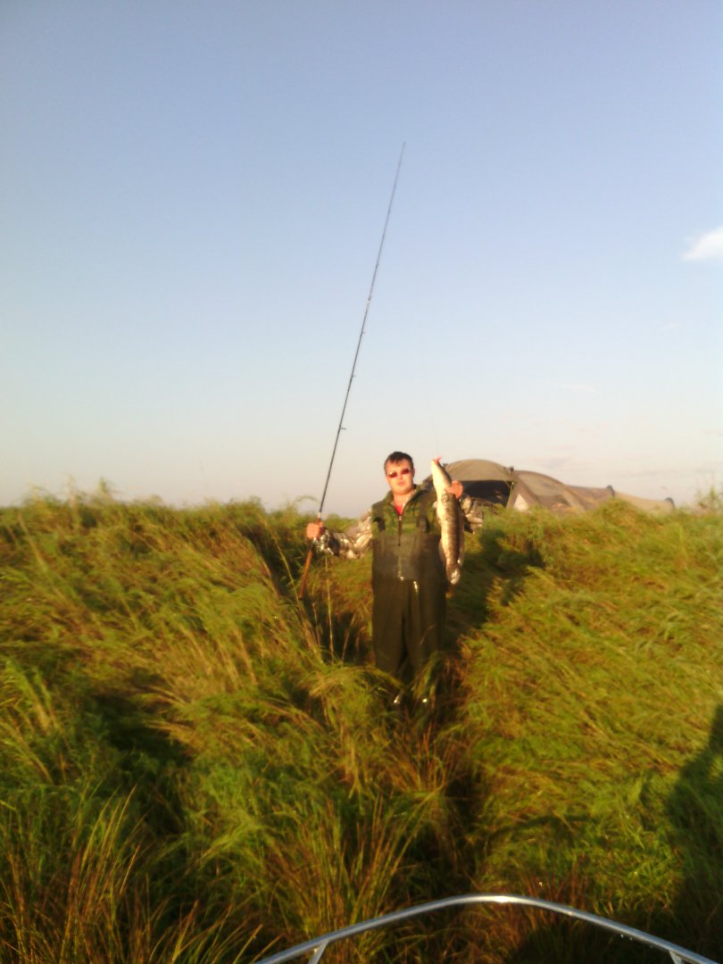 IMG_20150906_072649.jpg