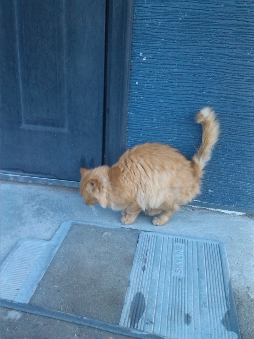 IMG_20151014_082542.jpg