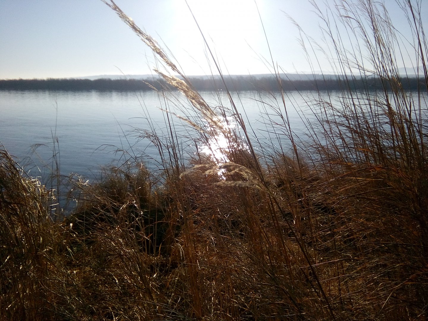 IMG_20151103_093657.jpg