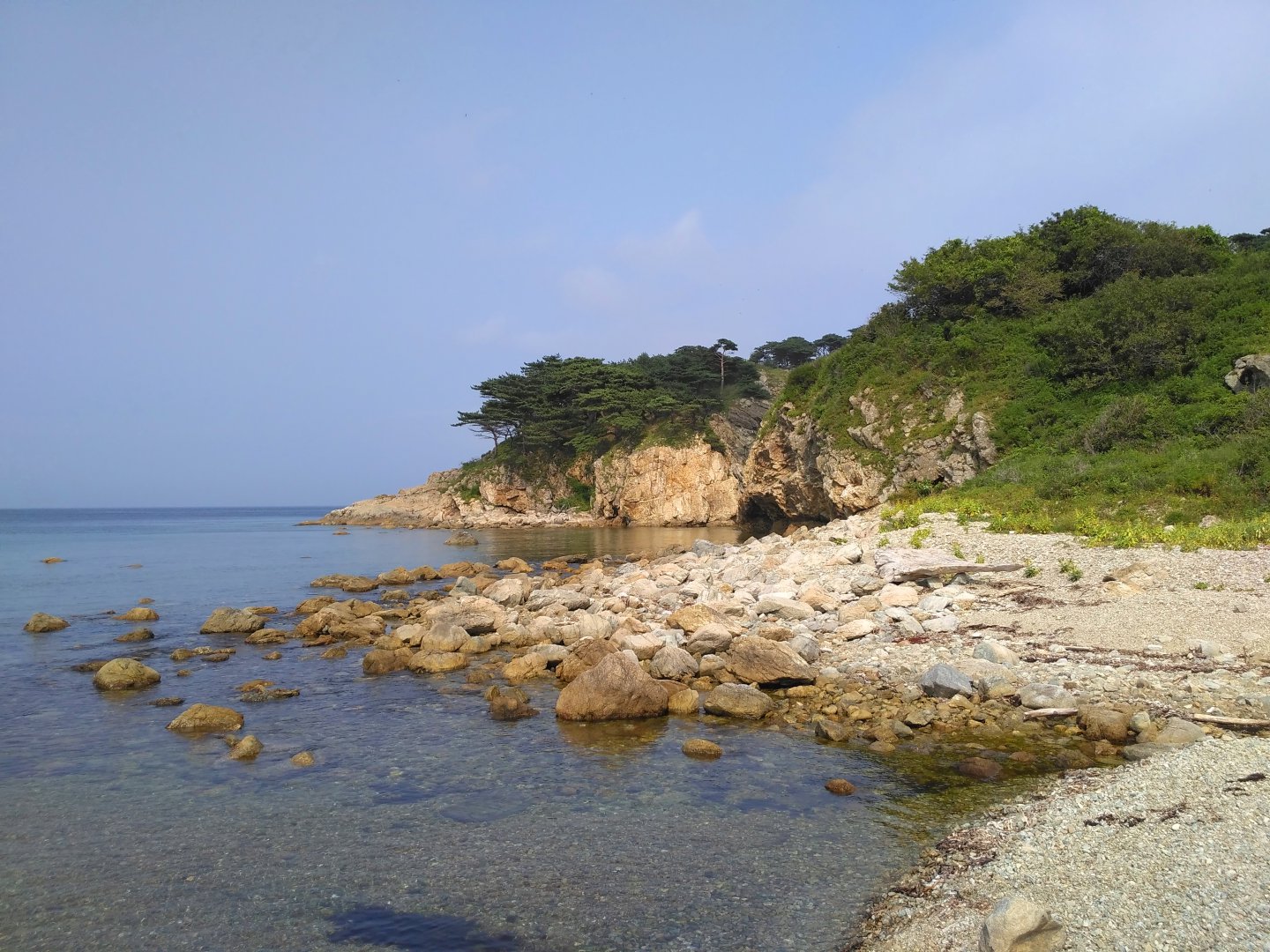 IMG_2016-08-12_155042.jpg