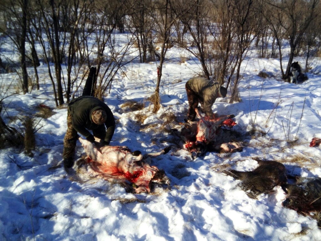 IMG_20160108_122249.jpg