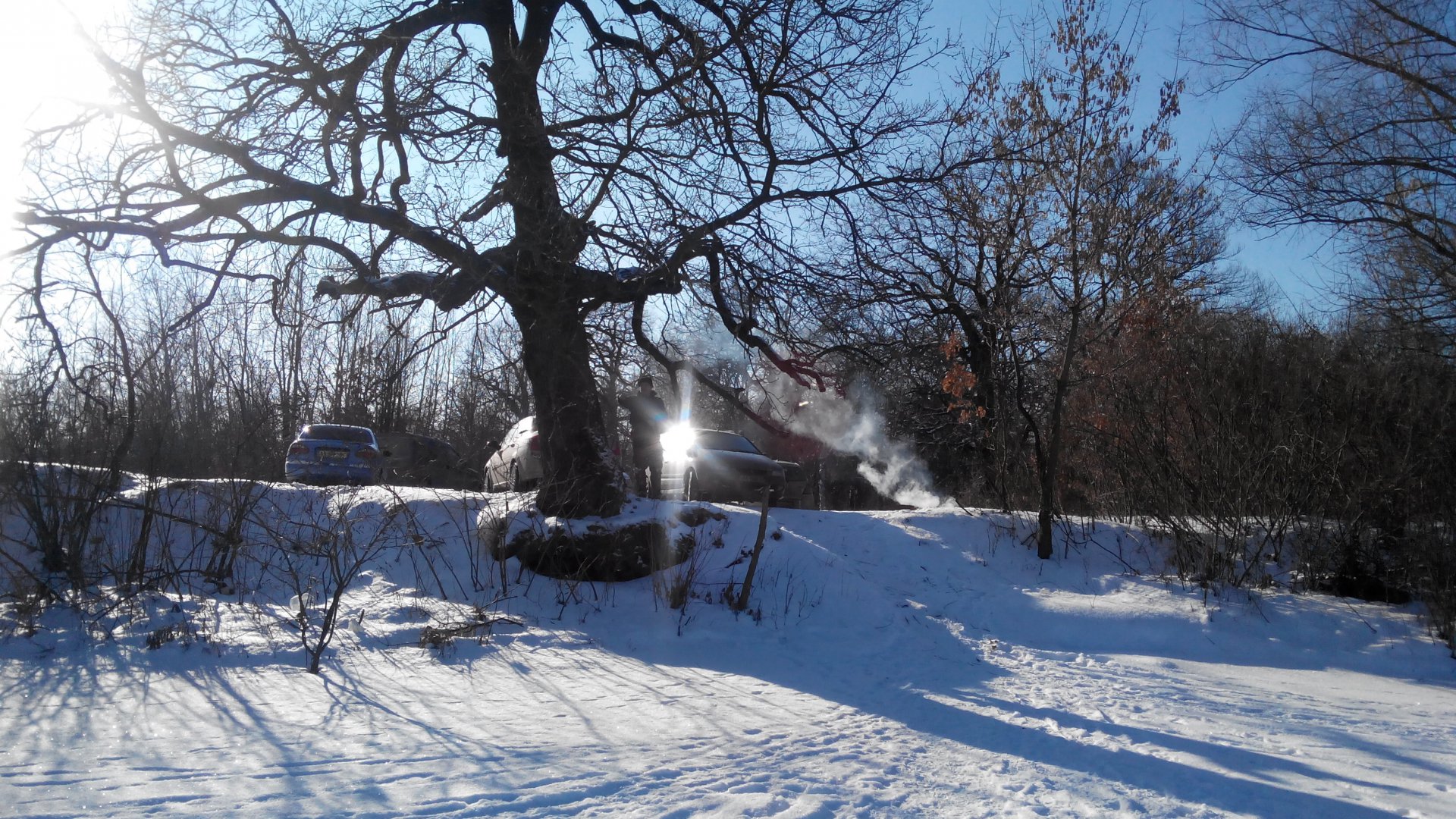 IMG_20160124_131904.jpg
