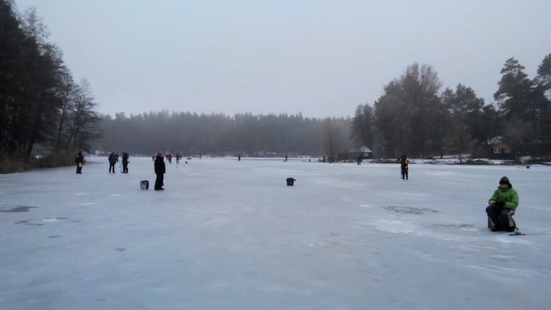 IMG_20160213_082843.jpg