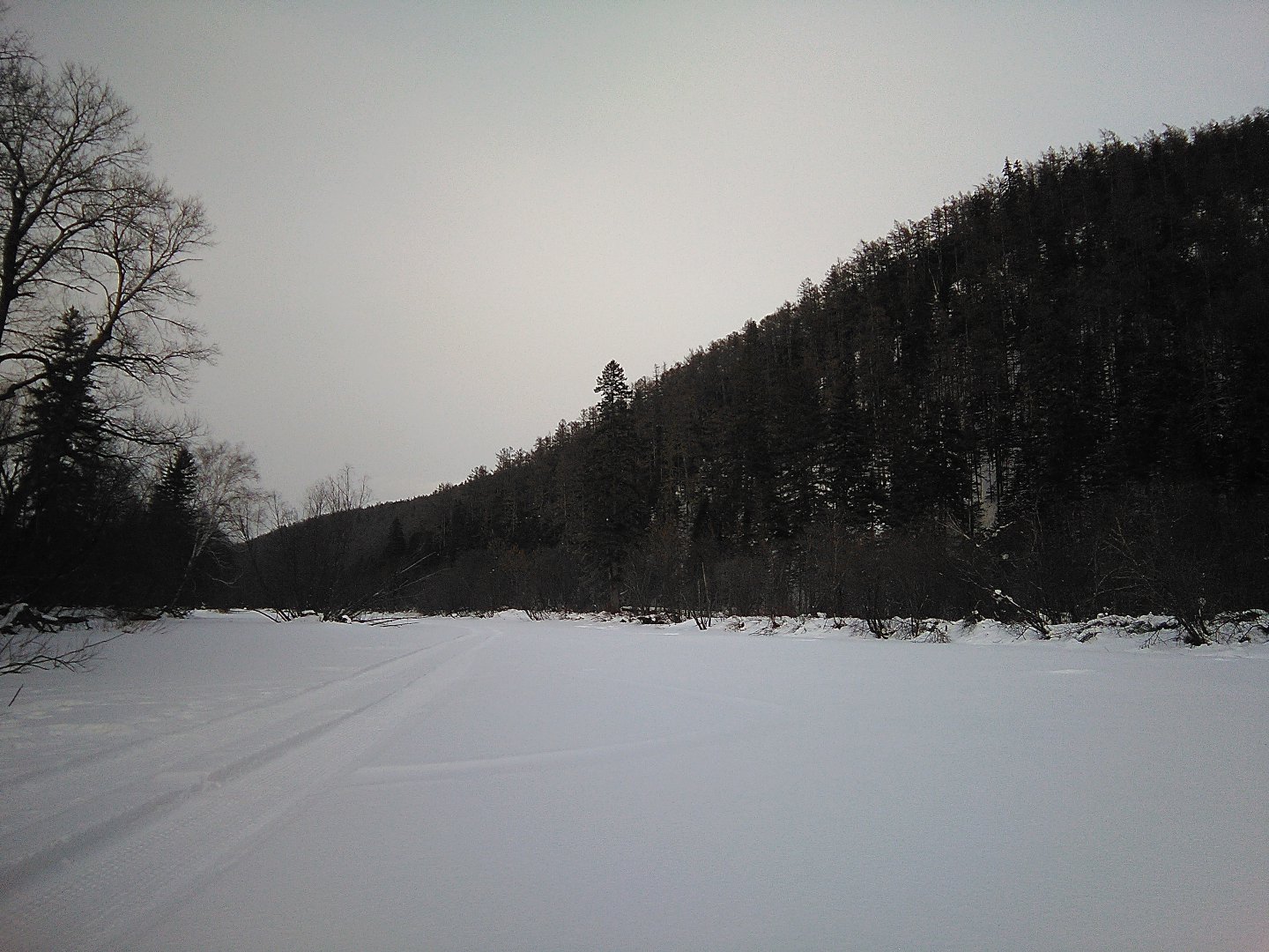 IMG_20160307_172117.jpg