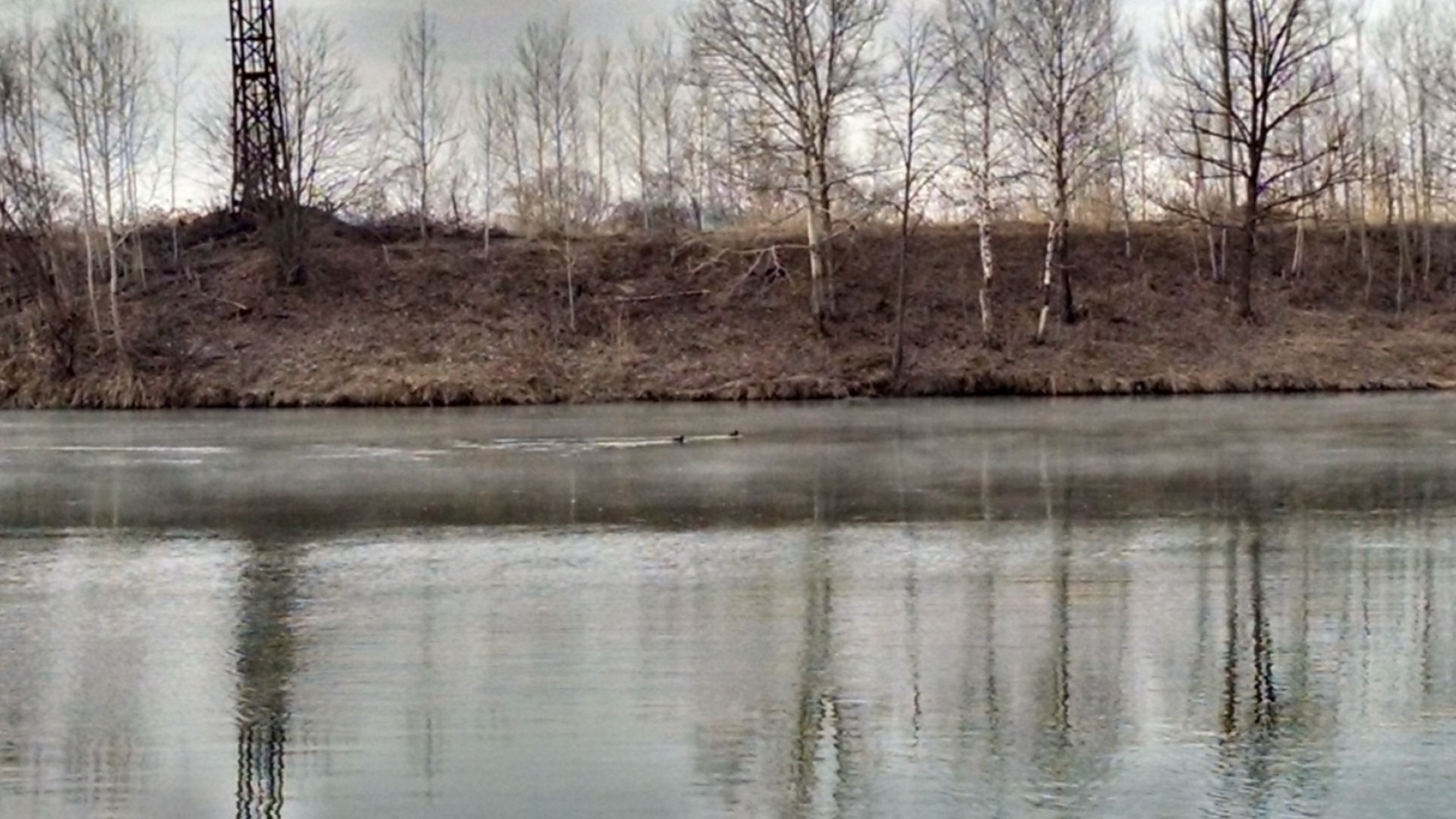 IMG_20160410_074809759_HDR.jpg