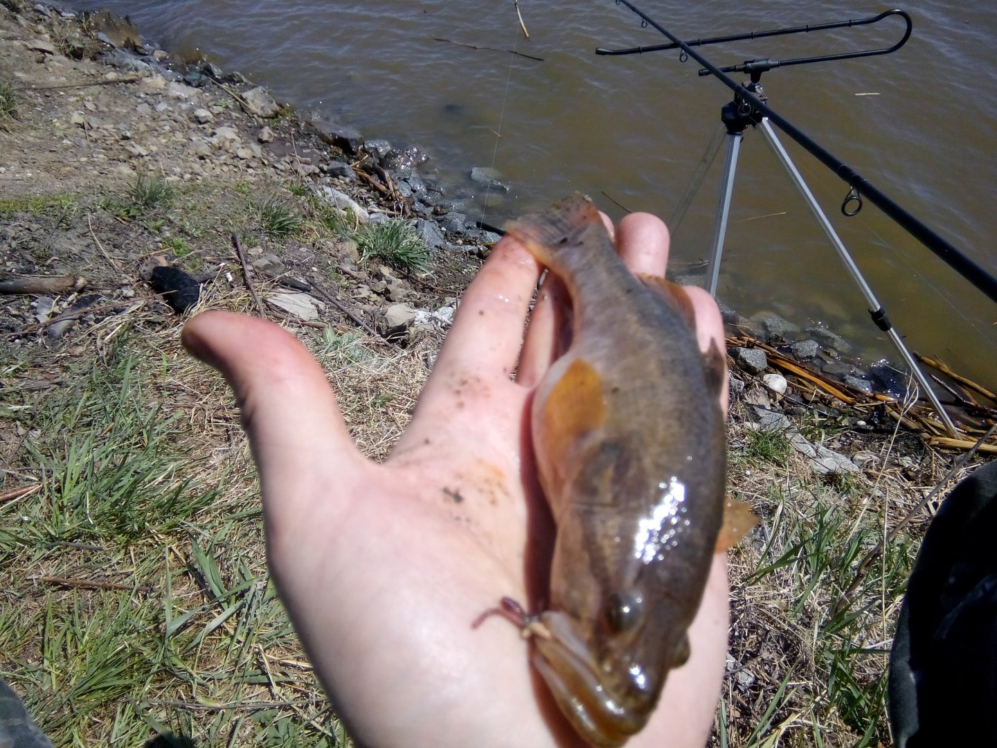 IMG_20160508_135930.jpg