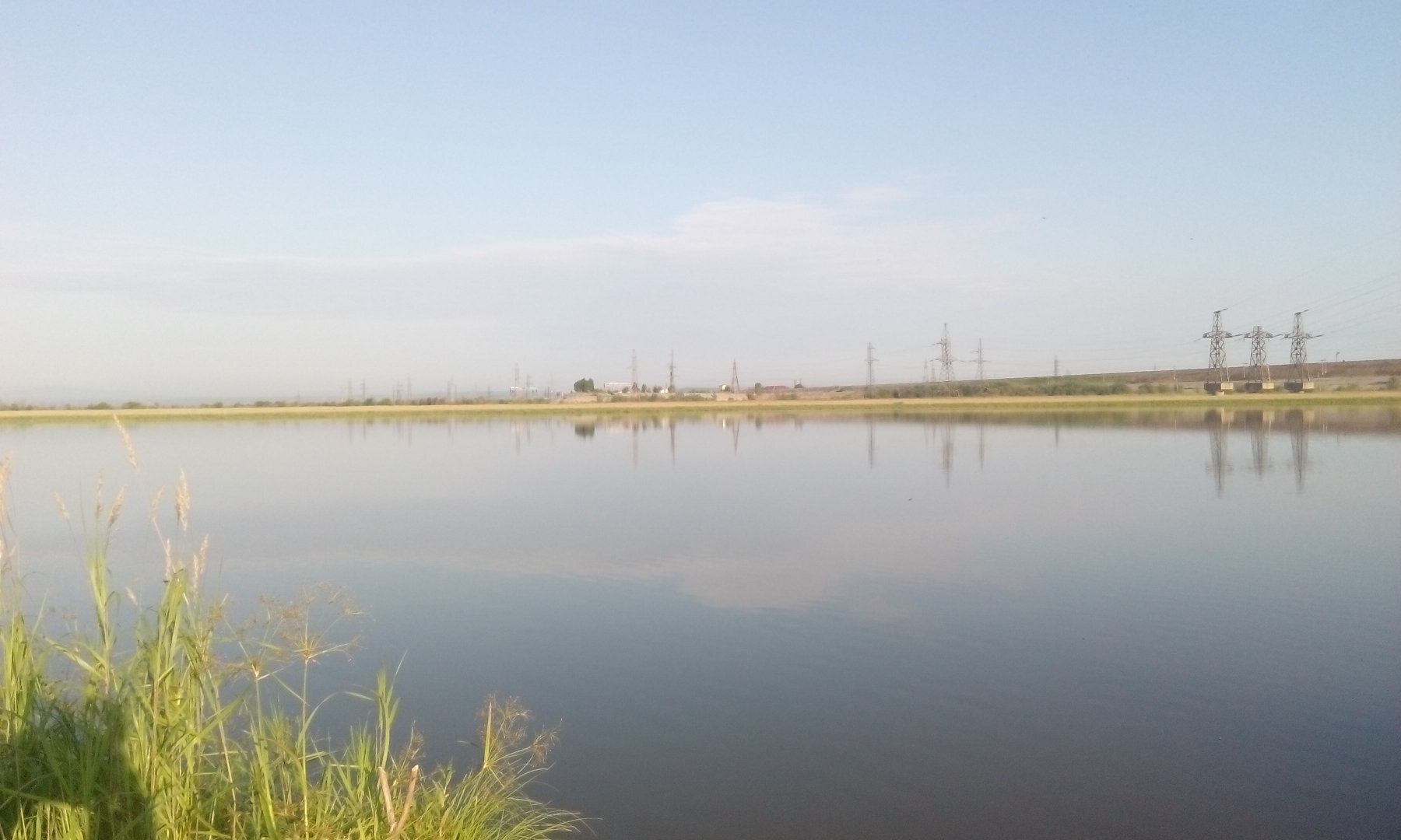IMG_20160720_065859.jpg